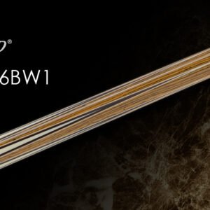 EXC2-SkD6BW1